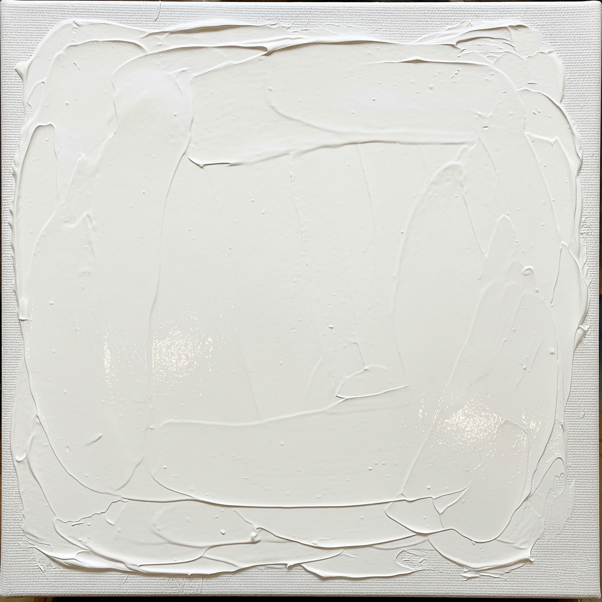 Post-Facto Document of a Temporal Intervention (The Drying of White)